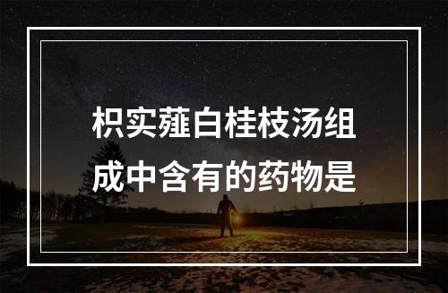 枳实薤白桂枝汤组成中含有的药物是