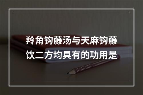 羚角钩藤汤与天麻钩藤饮二方均具有的功用是