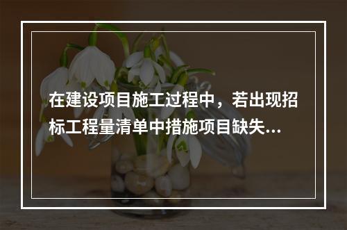 在建设项目施工过程中，若出现招标工程量清单中措施项目缺失，则