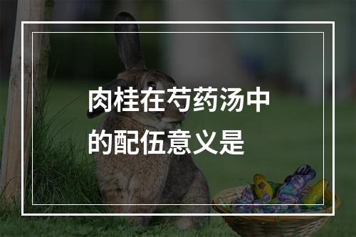 肉桂在芍药汤中的配伍意义是