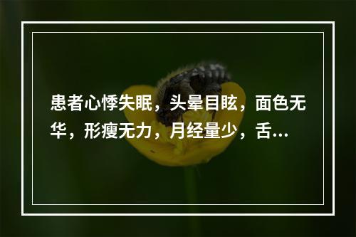 患者心悸失眠，头晕目眩，面色无华，形瘦无力，月经量少，舌淡，