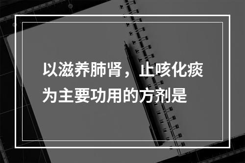 以滋养肺肾，止咳化痰为主要功用的方剂是