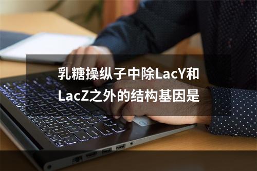 乳糖操纵子中除LacY和LacZ之外的结构基因是