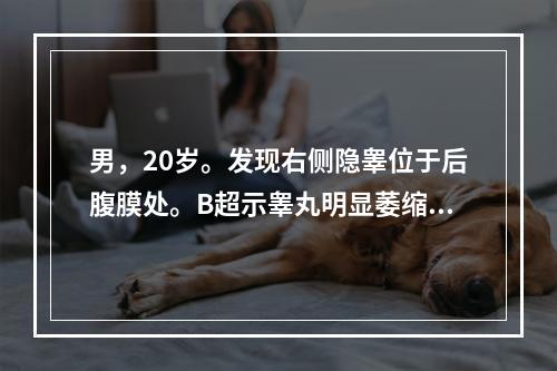 男，20岁。发现右侧隐睾位于后腹膜处。B超示睾丸明显萎缩变小