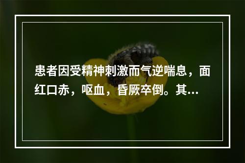 患者因受精神刺激而气逆喘息，面红口赤，呕血，昏厥卒倒。其病机