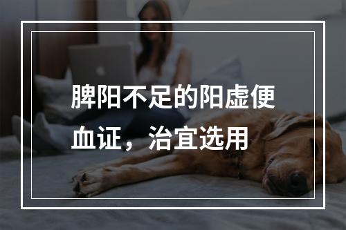 脾阳不足的阳虚便血证，治宜选用