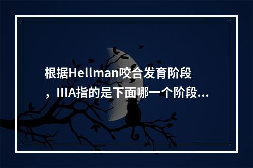 根据Hellman咬合发育阶段，ⅢA指的是下面哪一个阶段？（