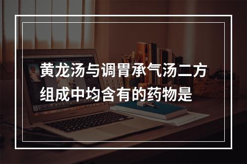 黄龙汤与调胃承气汤二方组成中均含有的药物是