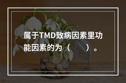 属于TMD致病因素里功能因素的为（　　）。