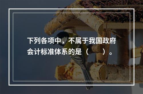 下列各项中，不属于我国政府会计标准体系的是（　　）。