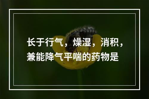 长于行气，燥湿，消积，兼能降气平喘的药物是