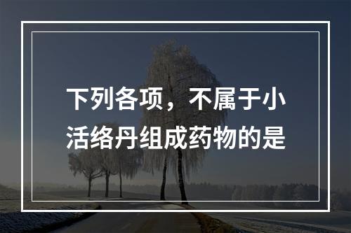 下列各项，不属于小活络丹组成药物的是