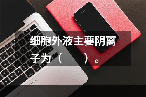 细胞外液主要阴离子为（　　）。