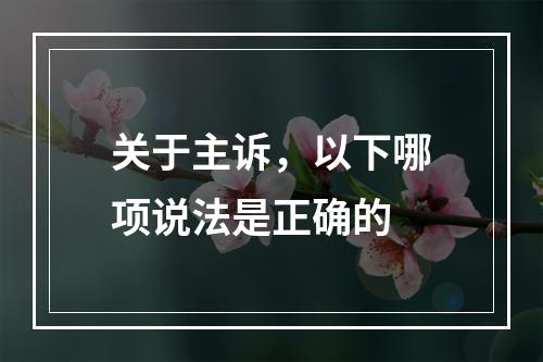 关于主诉，以下哪项说法是正确的