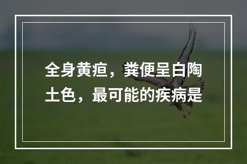 全身黄疸，粪便呈白陶土色，最可能的疾病是