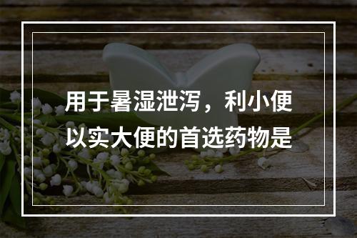 用于暑湿泄泻，利小便以实大便的首选药物是