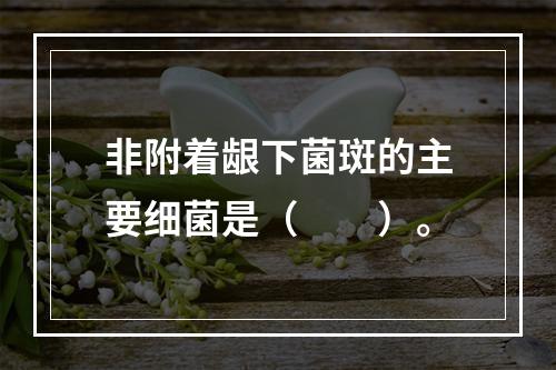 非附着龈下菌斑的主要细菌是（　　）。