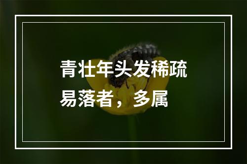 青壮年头发稀疏易落者，多属