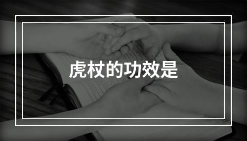 虎杖的功效是