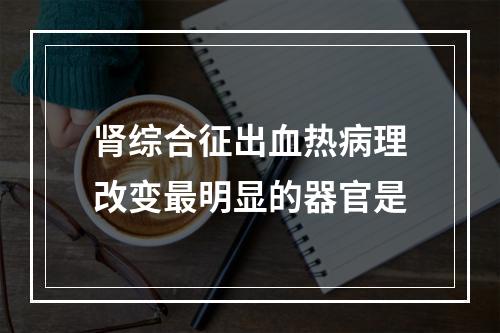 肾综合征出血热病理改变最明显的器官是