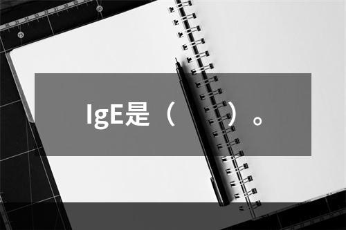 IgE是（　　）。