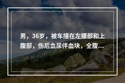 男，36岁，被车撞在左腰部和上腹部，伤后血尿伴血块，全腹痛8