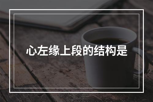 心左缘上段的结构是