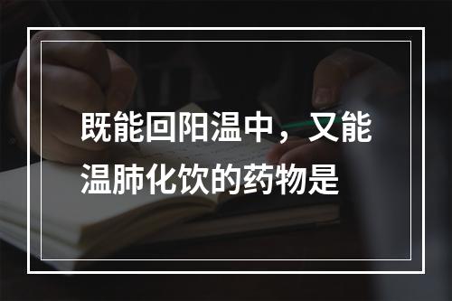 既能回阳温中，又能温肺化饮的药物是