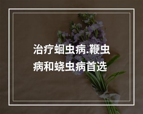 治疗蛔虫病.鞭虫病和蛲虫病首选