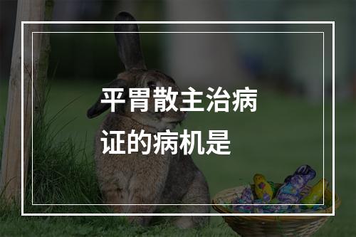 平胃散主治病证的病机是