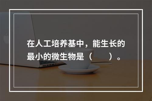 在人工培养基中，能生长的最小的微生物是（　　）。