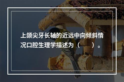 上颌尖牙长轴的近远中向倾斜情况口腔生理学描述为（　　）。