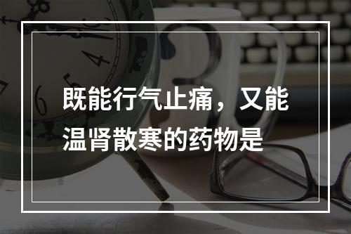 既能行气止痛，又能温肾散寒的药物是