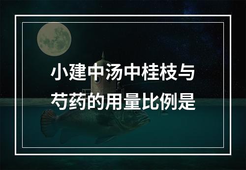 小建中汤中桂枝与芍药的用量比例是