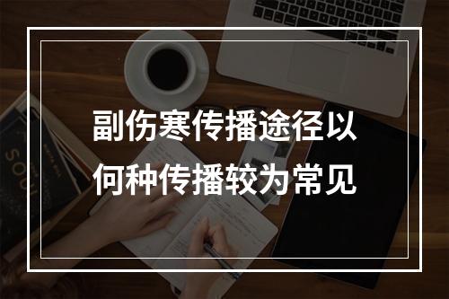 副伤寒传播途径以何种传播较为常见