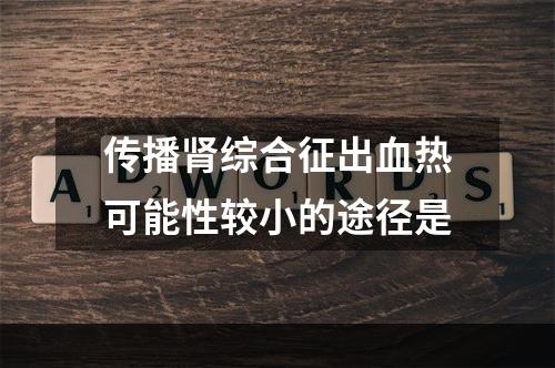 传播肾综合征出血热可能性较小的途径是