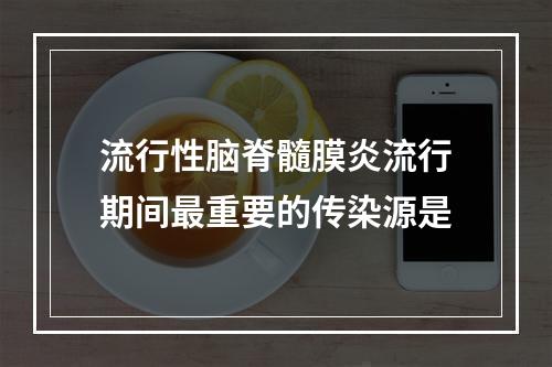 流行性脑脊髓膜炎流行期间最重要的传染源是