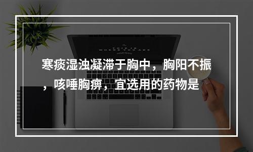 寒痰湿浊凝滞于胸中，胸阳不振，咳唾胸痹，宜选用的药物是