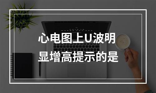 心电图上U波明显增高提示的是