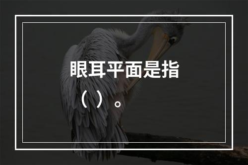 眼耳平面是指（  ）。