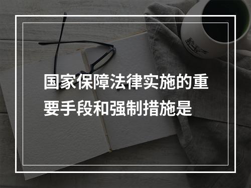 国家保障法律实施的重要手段和强制措施是