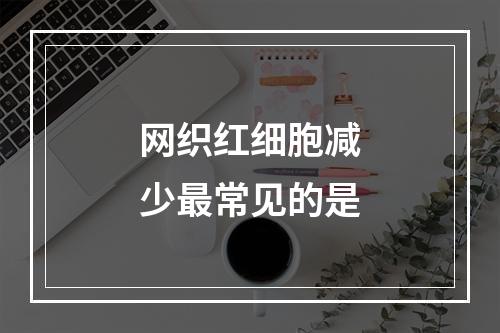 网织红细胞减少最常见的是