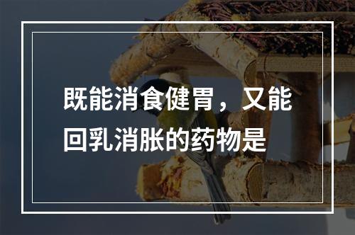 既能消食健胃，又能回乳消胀的药物是