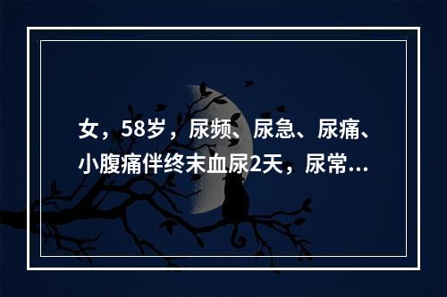 女，58岁，尿频、尿急、尿痛、小腹痛伴终末血尿2天，尿常规见