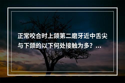 正常咬合时上颌第二磨牙近中舌尖与下颌的以下何处接触为多？（