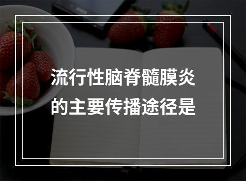 流行性脑脊髓膜炎的主要传播途径是