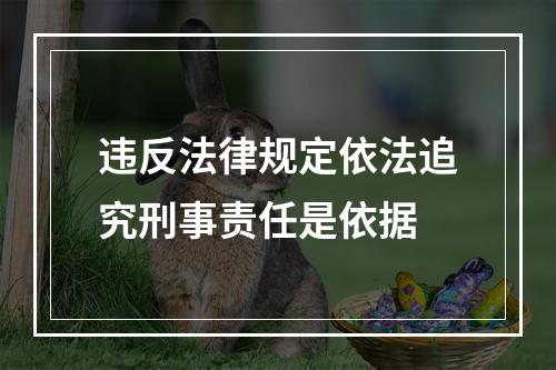 违反法律规定依法追究刑事责任是依据