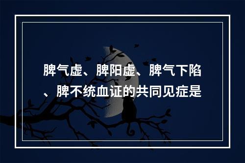 脾气虚、脾阳虚、脾气下陷、脾不统血证的共同见症是