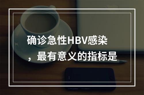 确诊急性HBV感染，最有意义的指标是