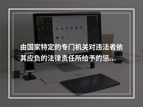 由国家特定的专门机关对违法者依其应负的法律责任所给予的惩罚措